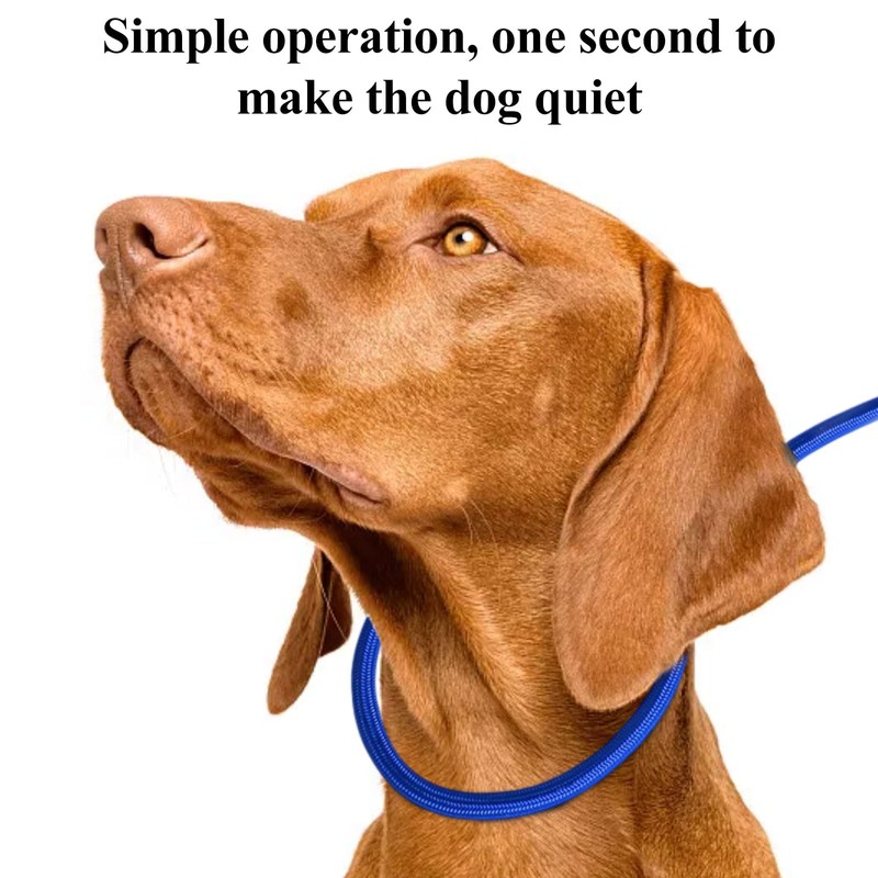 Slip Rope Dog Lead | 1.2m,One-Size-Fits-All,Slip-On Rope Leash, 8 Dog