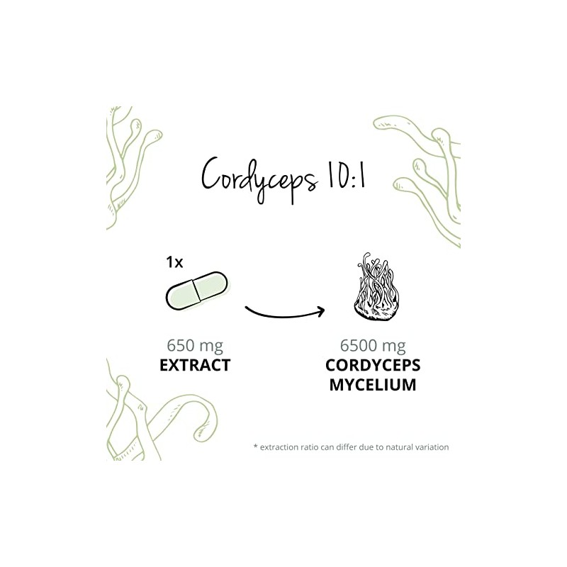 Cordyceps Sinensis Vegavero® | 650 mg (10:1) CS-4 Extract 40%