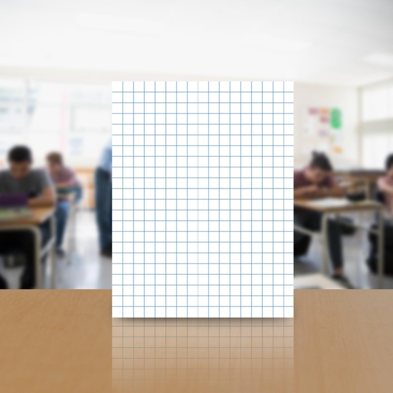 School Smart Graph Papers - 8-1/2 x 11 , 1/4