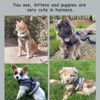 Cat Harnesses and Puppy Harness with Leashes Set, Escape Proof