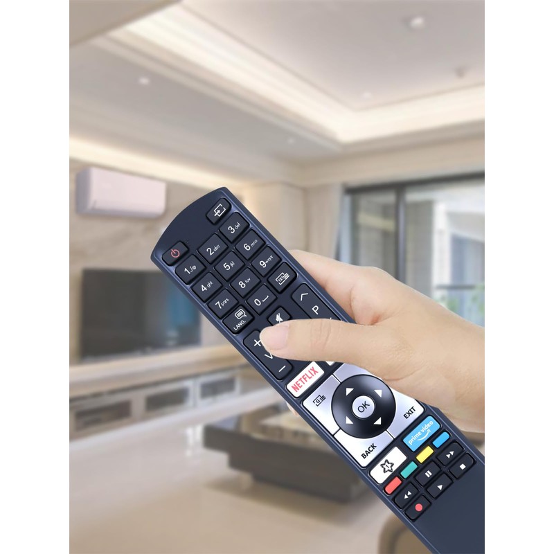 GOUYESHO New Replacement Remote Control for Telefunken Edenwood Smart TV