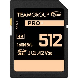 TEAMGROUP PRO - Tarjeta de memoria SDXC UHS-I U3 A2 V30 4K UHD de hasta 160120MBs para vloggers profesionales, cineastas, fotógrafos y curadores de