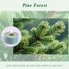 Pine Forest Scented Tea Lights Candles – Pine Green –