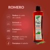 Tratamiento Shampoo Anticaída Árbol Verde 4pzs Romero Sábila