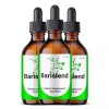 Barislend Drops Liquid Supplement, Max Strength, Barislend Supplement (3 pack)