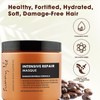 Sunny Isle Jamaican Black Castor Oil Extreme Hydrating Shampoo +