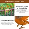 BSTDAYEVER Rust Birds Pack of 5 Metal Bird Reusable Rust