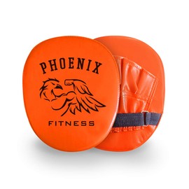 Boxing Target Gloves