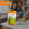 Nopalina Piña 454 g Suplemento Alimenticio de Fibra con Linaza