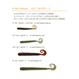 REINS G Tail Saturn 2.5" FW 002 Green Pumpkin