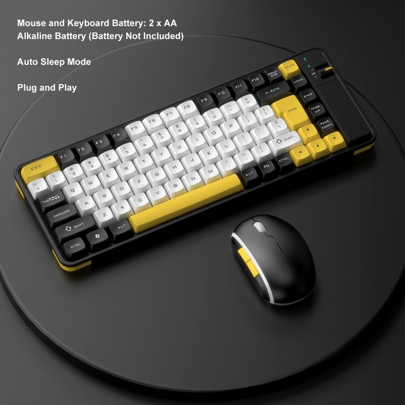 Keyboard and Mouse Combo 84 Keys QWERTY Layout USB Receiver