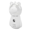 Nano Mist Sprayer Cute Bear Shape 300ML USB Humidifier Skin