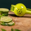 bremermann Citrus Juicer Set of 3 for Oranges, Lemons and