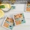 Thirstystone North Carolina Home 4-Pack Absorbent Stone Coasters with Protective