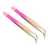 Healeved 2pcs Manicure Tools Tweezers Tool Eyeshadow Travel Tweezers Japanese