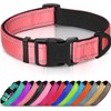 Joytale Reflective Dog Collar, Soft Neoprene Padded, Metal D-Ring, Nylon