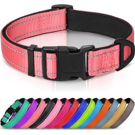 Joytale Reflective Dog Collar, Soft Neoprene Padded, Metal D-Ring, Nylon Pet Collar Adjustable for Puppy and Small Dogs, Neon Pink, XS