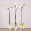 Two's Company 7355 Sleek & Chic Set of 3 Tear
