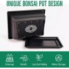 REALPETALED Bonsai Starter Kit, Japanese Bonsai Tree Kit with Bonsai