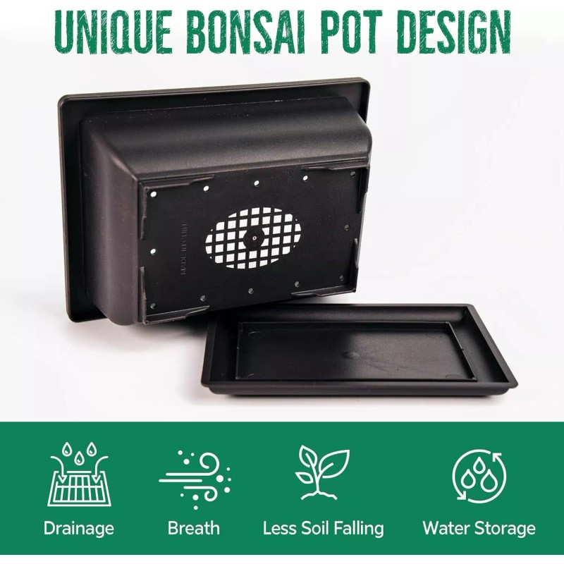 REALPETALED Bonsai Starter Kit, Japanese Bonsai Tree Kit with Bonsai