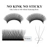 Blister 3d W Curvatura L Y Lu