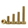 FEEIMOL Brass Hexagonal Socket Machine Screws M2 x 6 mm