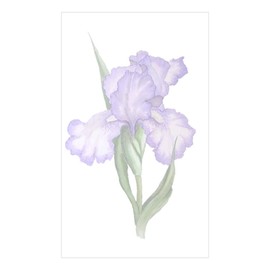CafePress The Purple Iris Rectangle Bumper Sticker Car Decal