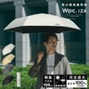 [2025] Men's Umbrella for Rain or Shine, IZA Type: Light