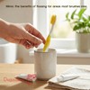 DUJINDENT Dolphin Gold Extra Soft Toothbrush Manual Long Flossing Bristle,