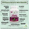 Ayushya Vasaka (Adulsa) Capsule, 60 Capsules, Natural