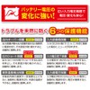 6-cell Star Hybrid Converter DCU – 310 V Car Charging for V Car