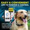 Dogtra Smart NOBARK Detects Whining and Barking, 33 ft Range