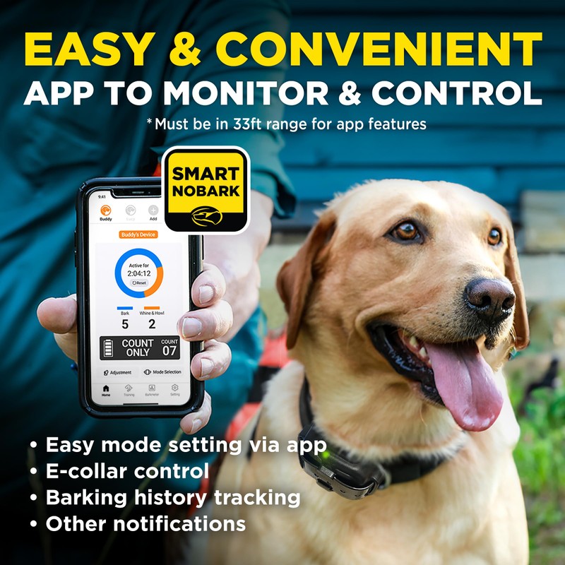 Dogtra Smart NOBARK Detects Whining and Barking, 33 ft Range