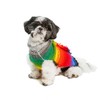 Chilly Dog Rainbow Mohawk (X-Small)