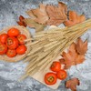 CoolCrafts 100 Stems Dried Wheat Stalks Natural Wheat Bundle for