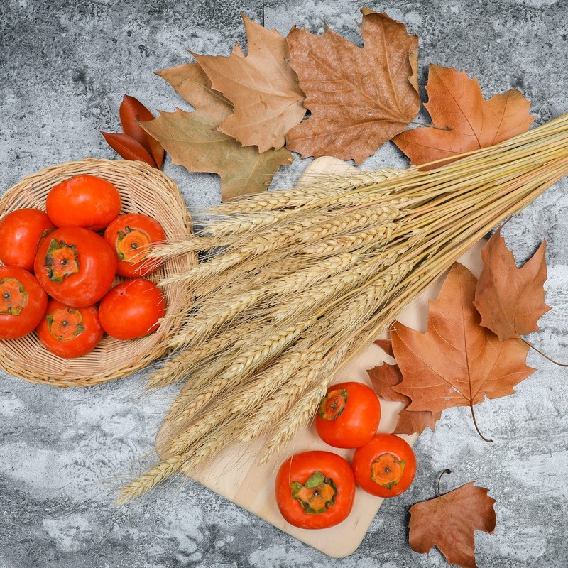 CoolCrafts 100 Stems Dried Wheat Stalks Natural Wheat Bundle for