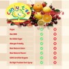 Candy Tree Organic Lollipops Assorted Flavors | No Added Sugar,