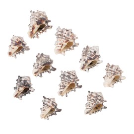 CORHAD Fish Tank Conch Ornaments 10pcs Hermit Crab Shells Decor Aquarium Landscaping Conch and Aquarium Ornaments