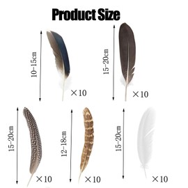 50 Pcs Craft Feathers Decorations, Brown Pheasant Feathers, Speckled Craft Feathers, Natural Pheasant Feathers for Crafting Hat Floral DIY Home Party Wedding Performance Supplies