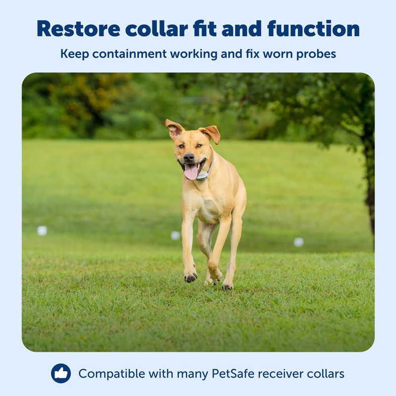 PetSafe Replacement Contact Points - Extra Collar Prongs Kit for