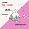 teapigs Strawberry & Juniper Tea Bags - Herbal Tea Fruit