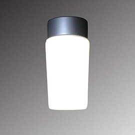 Swan Electric LED Moisture Proof Light SWL-127