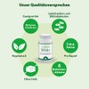Lakto Bifido Dr. Jacob's Capsules Pack of 90 Capsules