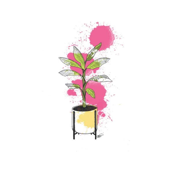 The Self-Reflection & Gratitude Journal: Banana Plant Edition