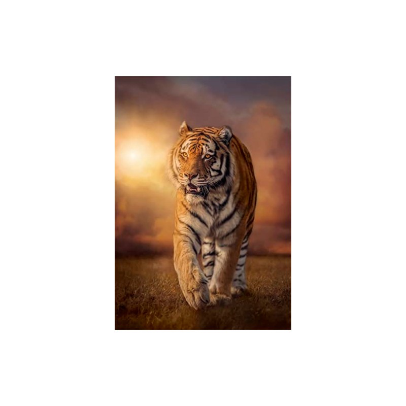 CLEMENTONI PZL 1000 High Quality Tiger Compact Made IN Italy