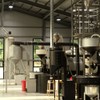 Swim Coffee Vietnam Robusta Whole Bean Coffee