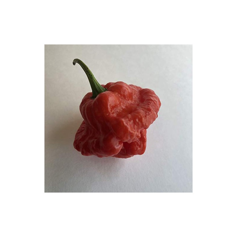 Best Sellers - Super Hot Pepper Seed Combo Pack (12