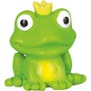 BRUNNEN Eraser "Frog King" 3D | Green