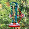 Window Hummingbird Feeder with 5 Strong Suction Cup 16 Ounces