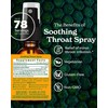 Herb Pharm Soothing Throat Spray Herbal Formula with Echinacea and